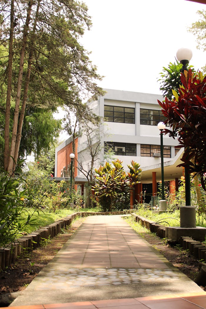 A serene walkway surrounded by lush greenery leading to a university building in Guatemala City.